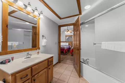 Bath - 376 Willow Oak Ln, Branson, MO 65616 photo 4 of 9