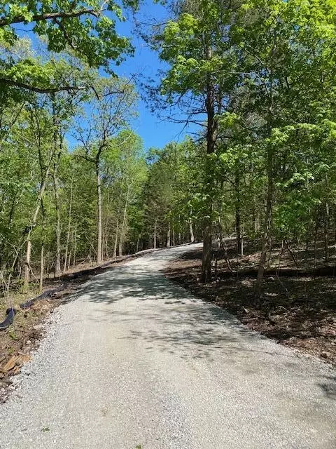 lot3 Cedar Bluff Ln, Shell Knob, MO 65747 photo 13