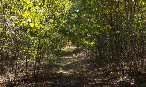 Other - 9223 State Highway 32, Salem, MO 65560 photo 29 of 32