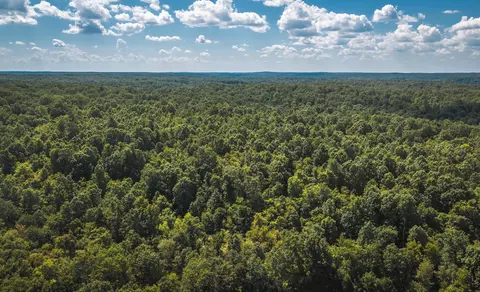 View/Area - 9223 State Highway 32, Salem, MO 65560 photo 16 of 23
