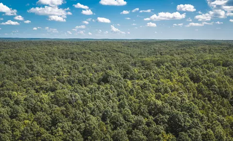 View/Area - 9223 State Highway 32, Salem, MO 65560 photo 22 of 23