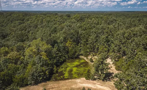 View/Area - 9223 State Highway 32, Salem, MO 65560 photo 8 of 23