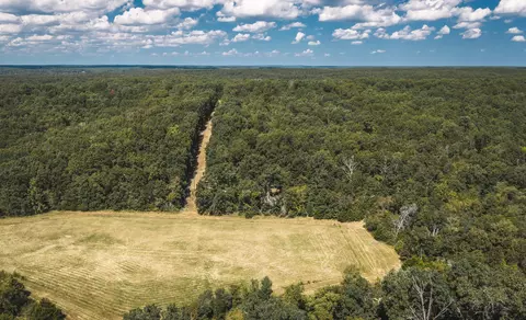 Other - 9223 State Highway 32, Salem, MO 65560 photo 21 of 32