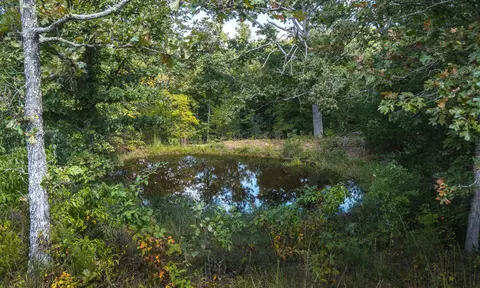 View/Area - 9223 State Highway 32, Salem, MO 65560 photo 5 of 23