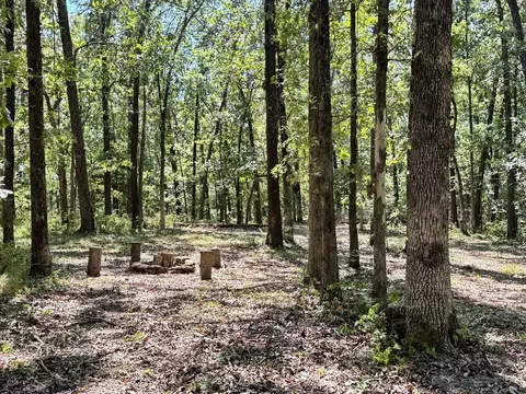 000 SE 871 Rd, Collins, MO 64738 photo 9