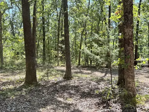 000 SE 871 Rd, Collins, MO 64738 photo 10