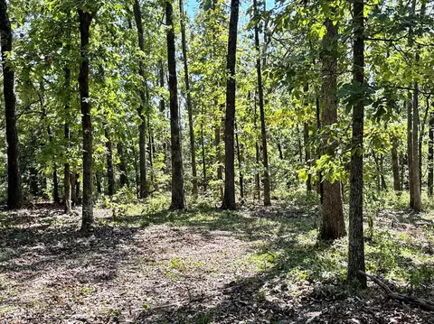000 SE 871 Rd, Collins, MO 64738 photo 7