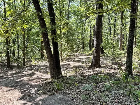 000 SE 871 Rd, Collins, MO 64738 photo 13