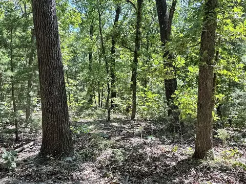 000 SE 871 Rd, Collins, MO 64738 photo 22