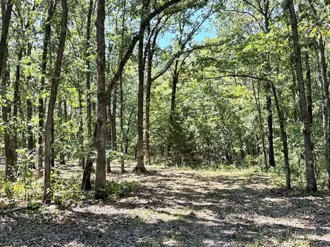 000 SE 871 Rd, Collins, MO 64738 photo 6