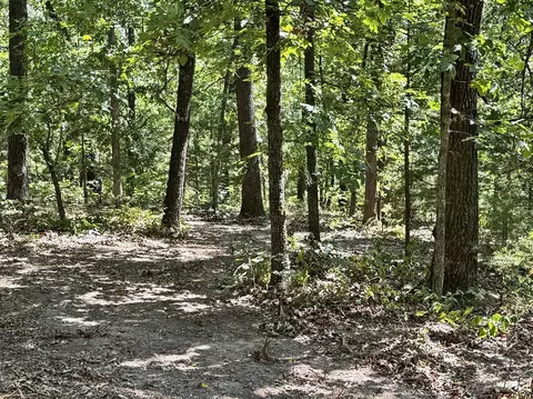 000 SE 871 Rd, Collins, MO 64738 photo 19