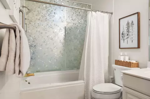 Bath - 161 Avondale Dr #5, Branson, MO 65616 photo 2 of 3