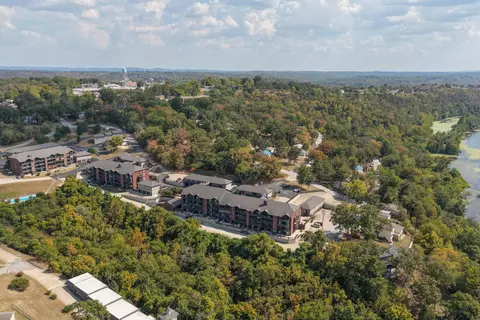 View/Area - 150 Sunken Forest Dr # 241, Forsyth, MO 65653 photo 9 of 21