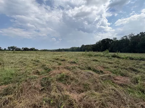 tbd Co Rd 4040, Rolla, MO 65401 photo 42