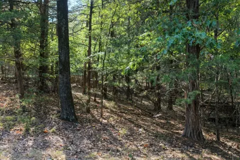 000 Lazy Acres Rd, Protem, MO 65733 photo 2