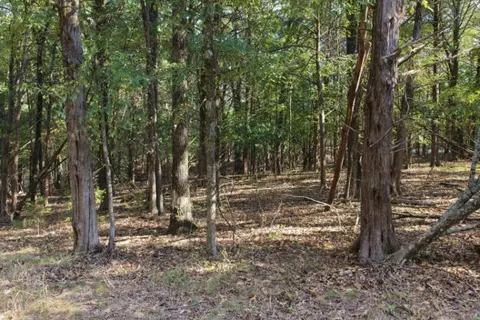 000 Lazy Acres Rd, Protem, MO 65733 photo 3