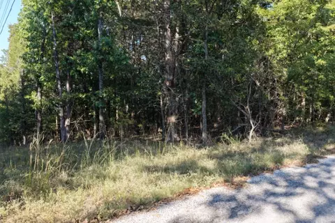 000 Lazy Acres Rd, Protem, MO 65733 photo 22