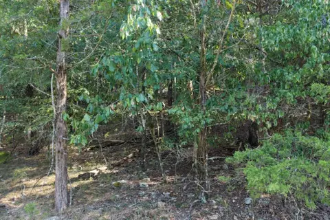 000 Lazy Acres Rd, Protem, MO 65733 photo 6