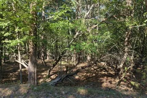 000 Lazy Acres Rd, Protem, MO 65733 photo 19