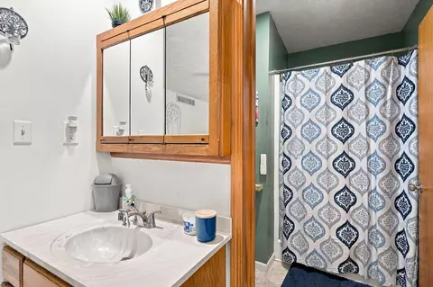 Bath - 23100 E Mockingbird Dr, Golden, MO 65658 photo 3 of 3