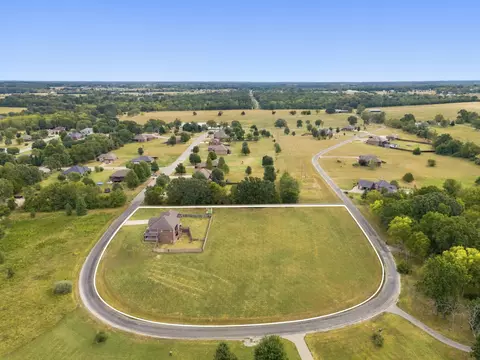 View/Area - 144 Elmview Dr, Ozark, MO 65721 photo 3 of 5