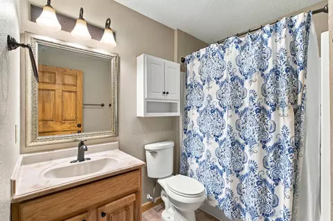 Bath - 144 Elmview Dr, Ozark, MO 65721 photo 8 of 8