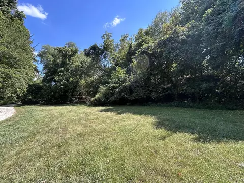 Exterior - 311 E Jackson St, Ozark, MO 65721 photo 10 of 11