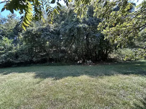 Exterior - 311 E Jackson St, Ozark, MO 65721 photo 11 of 11