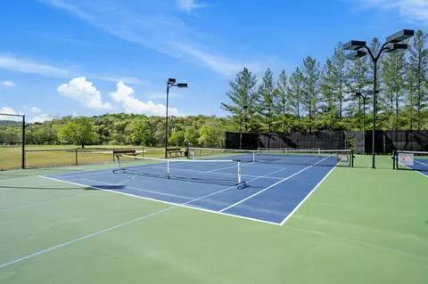 View/Area - 56 Mountain View Ct, Branson West, MO 65737 photo 12 of 15