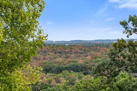 View/Area - 56 Mountain View Ct, Branson West, MO 65737 photo 1 of 15