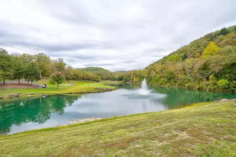 View/Area - 56 Mountain View Ct, Branson West, MO 65737 photo 9 of 15
