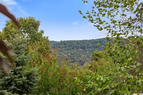 Other - 56 Mountain View Ct, Branson West, MO 65737 photo 13 of 23