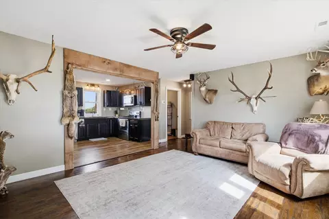Living - 1663 Swan Ln, Mansfield, MO 65704 photo 1 of 2