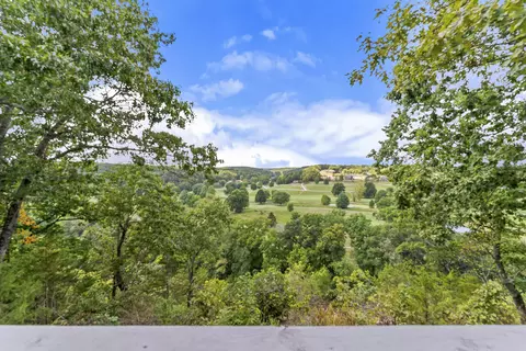 Other - 740 Russel Ridge Rd, Nixa, MO 65714 photo 4 of 29