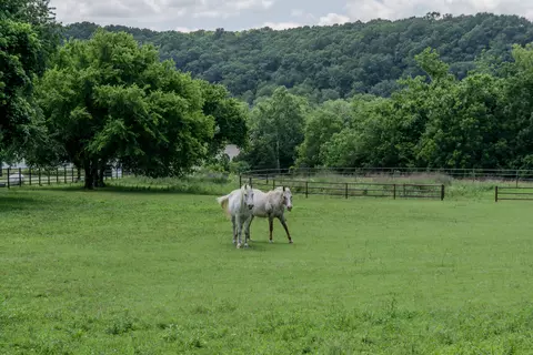 Other - 740 Russel Ridge Rd, Nixa, MO 65714 photo 26 of 29