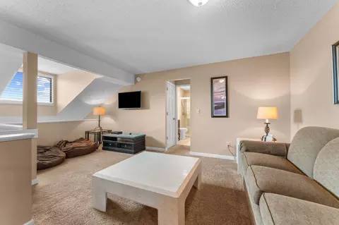 Living - 4 Treehouse Ln #8, Branson, MO 65616 photo 6 of 6