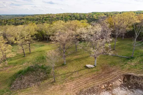 000 Dunn Rd, Walnut Shade, MO 65771 photo 4