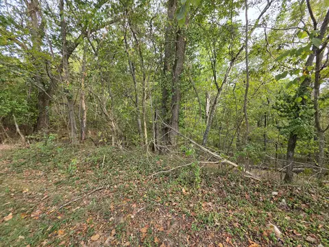 707 Washington Ave, Crane, MO 65633 photo 12