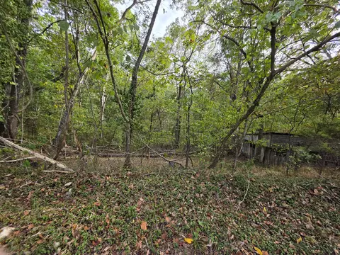 707 Washington Ave, Crane, MO 65633 photo 10