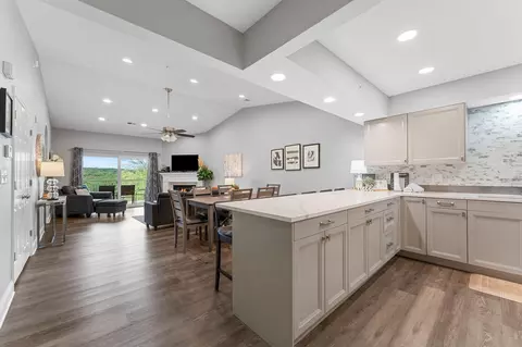 Kitchen - 350 S Wildwood Dr # E20, Branson, MO 65616 photo 1 of 5