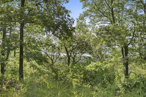 lot5 Cliffside Estates Dr, Galena, MO 65656 photo 15