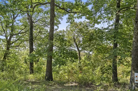 lot5 Cliffside Estates Dr, Galena, MO 65656 photo 16