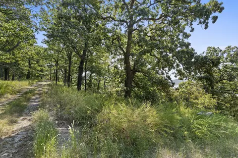 lot5 Cliffside Estates Dr, Galena, MO 65656 photo 14