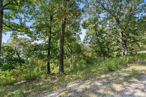lot5 Cliffside Estates Dr, Galena, MO 65656 photo 20