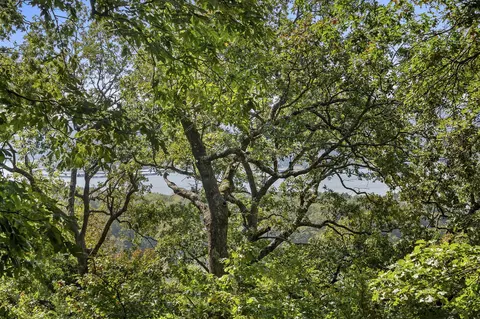 lot5 Cliffside Estates Dr, Galena, MO 65656 photo 19