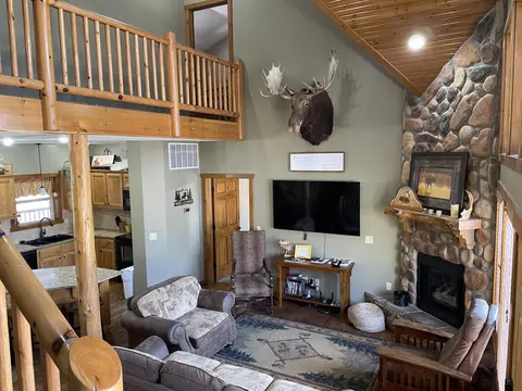 Living - 333 Willow Oak Ln, Branson, MO 65616 photo 1 of 6