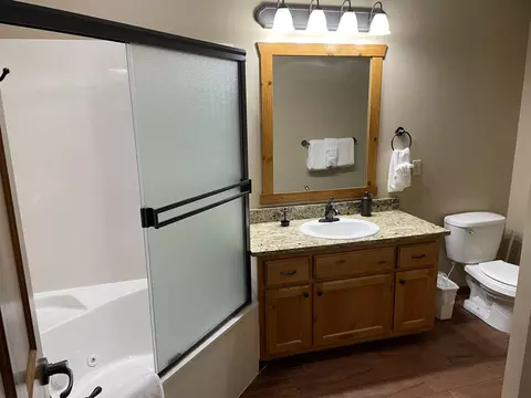 Bath - 333 Willow Oak Ln, Branson, MO 65616 photo 5 of 8