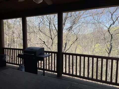 Exterior - 333 Willow Oak Ln, Branson, MO 65616 photo 14 of 17