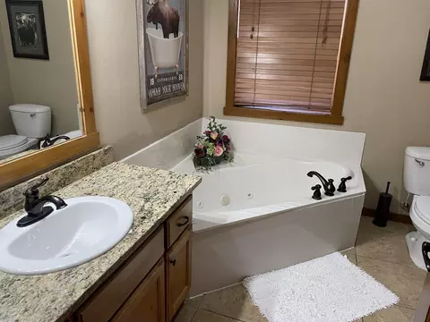 Bath - 333 Willow Oak Ln, Branson, MO 65616 photo 3 of 8