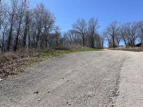 Exterior - 333 Willow Oak Ln, Branson, MO 65616 photo 16 of 17